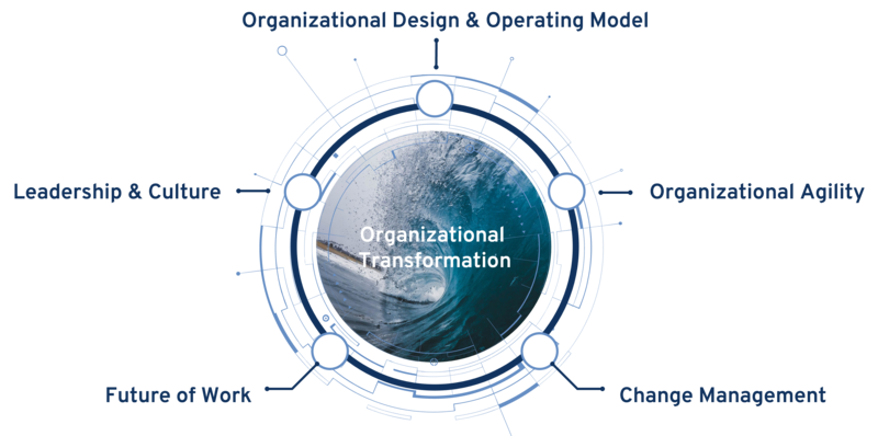 Organizational Transformation Portfolio